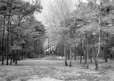 129796 Gezicht in de Nachtegaallaan te Bilthoven (gemeente De Bilt), met op de achtergrond het huis De Wielewaal ...